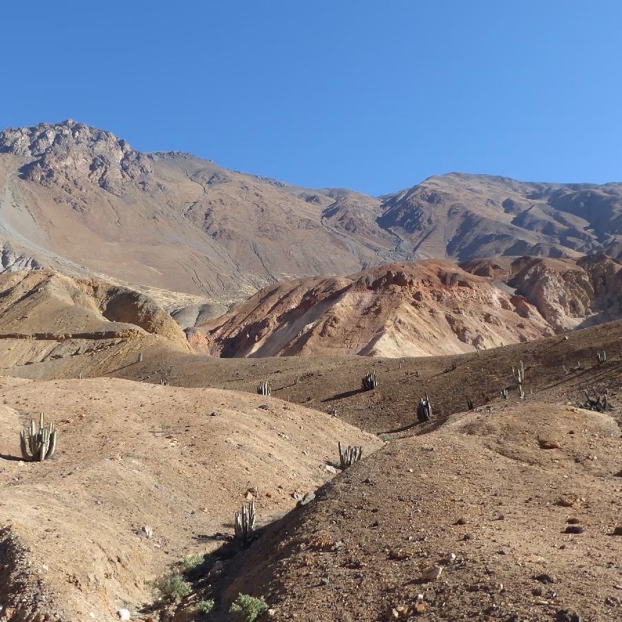 (Perú) Los recursos del elemento 29 proporcionan actualización para el proyecto de cobre Elida
