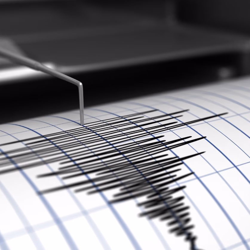 SHOA descarta tsunami en Chile tras sismo 6.5 en Papúa Nueva Guinea