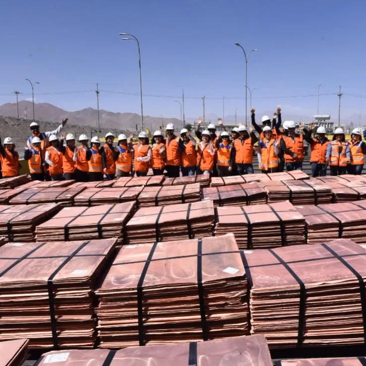 26 micro y pequeñas empresas realizan pionera visita técnica a minera El Abra