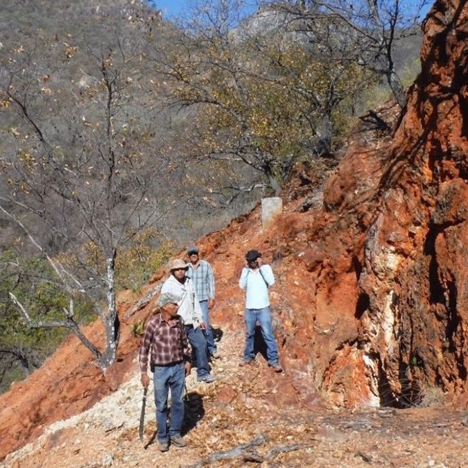 Silver Spruce adquiere el 100% de Pino de Plata y prepara perforaciones en Chihuahua