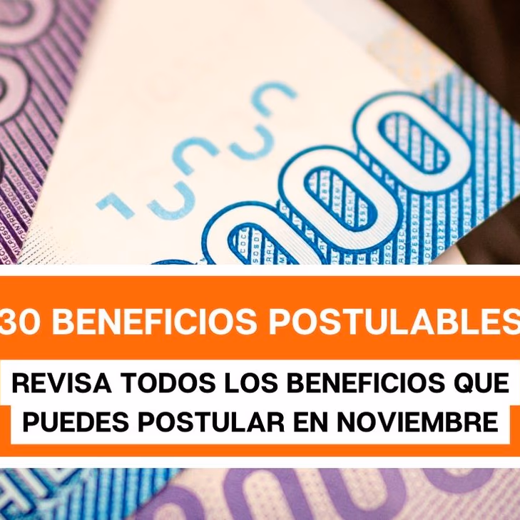 30 Beneficios Estatales que puedes postular en Noviembre