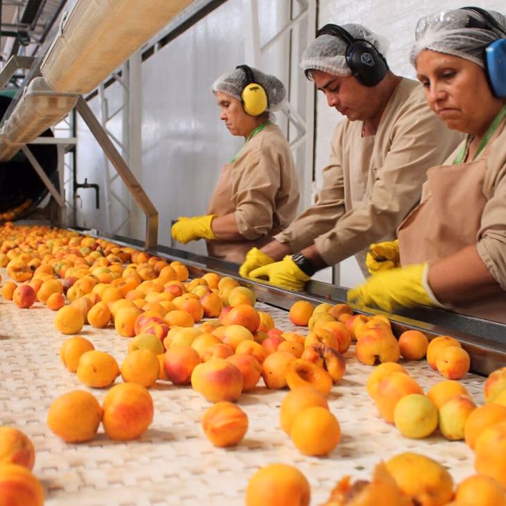 Aconcagua Foods Ofrece Nuevas Oportunidades Laborales en la Región Metropolitana: Postula a Diversas Posiciones con Salarios Competitivos