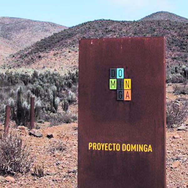 Afectación de pingüinos y cetáceos: Ministerio del Medio Ambiente rechaza el proyecto Dominga ante Comité de Ministros