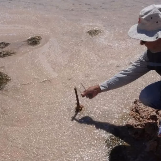 Albemarle apela millonaria multa de la SMA por supuesta sobre extracción en Atacama