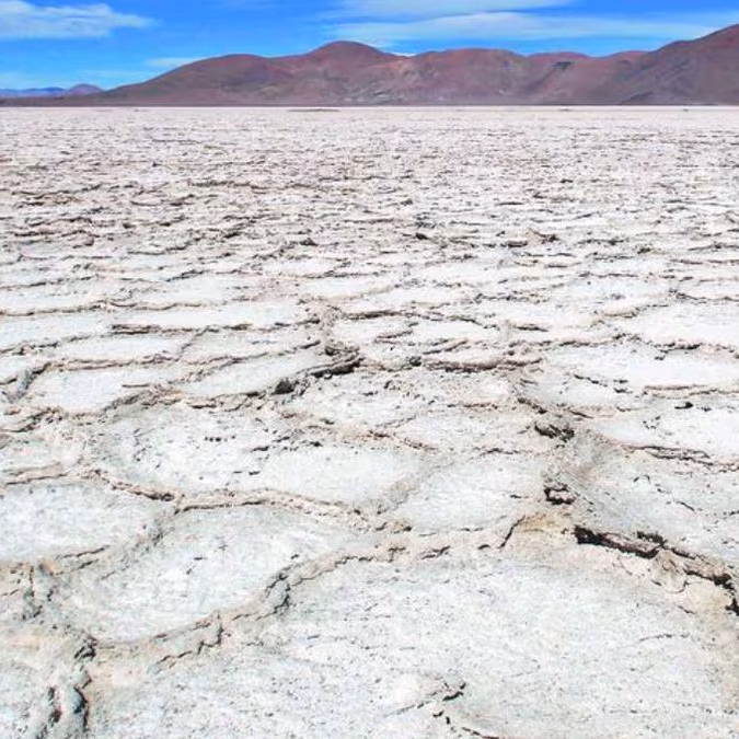 «Alta incertidumbre tecnológica en la explotación de salares de litio en Chile»
