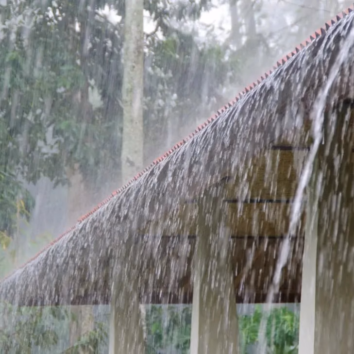 Anuncian precipitaciones en localidades de cinco regiones este lunes: Viento de hasta 60 km/h impactará a estas ciudades