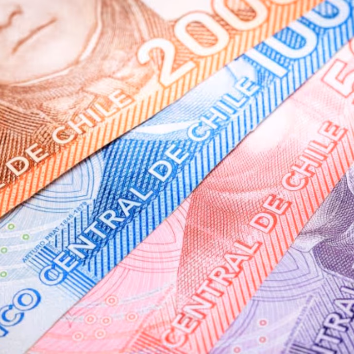 Aporte Familiar Permanente 2025: Montos y Criterios para Beneficiarios en Chile – Todo lo que Necesitas Saber