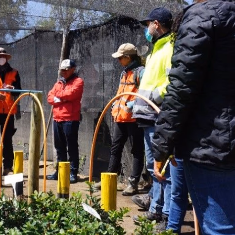 Áreas de medioambiente e instituciones de protección de la biodiversidad del país conocen trabajo de preservación de Minera Los Pelambres