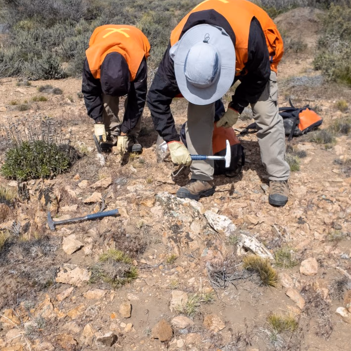 (Argentina) Golden Arrow Resources muestra venas que contienen oro visible en el proyecto de oro Flecha de Oro