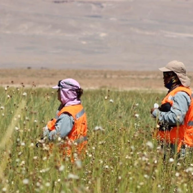 Ausenco: Contribuyendo con el conocimiento a la sostenibilidad en salares de alta sensibilidad ecológica y social