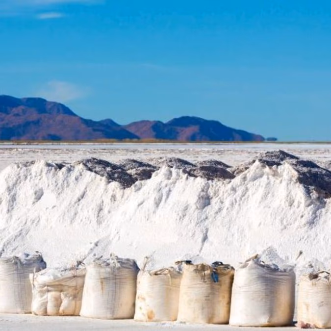 Basf SE descarta inversión en litio en Chile y reforzará suministro en Europa