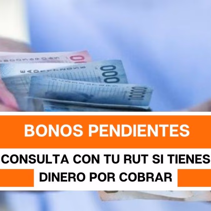 Bonos pendientes: consulta con tu RUT si tienes dinero por cobrar