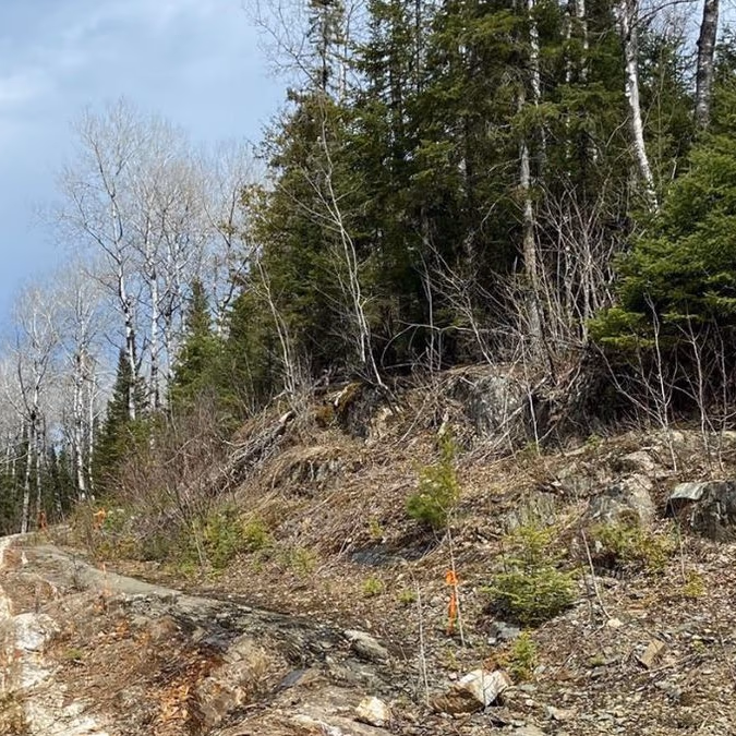 Canadá: Dryden Gold intercepta 8,93 g/t de oro en 12,45 metros, incluyendo 32,96 g/t de oro en 2,73 metros en Elora