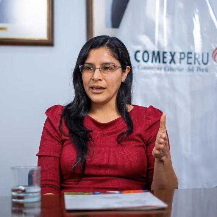 China lidera la adquisición de minerales peruanos, impulsando el comercio y la economía en Perú
