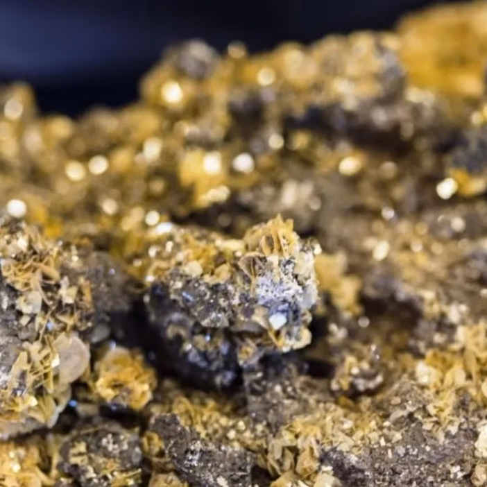 Colombia: Orosur Mining anuncia que el muestreo de El Cedro abre nuevos horizontes