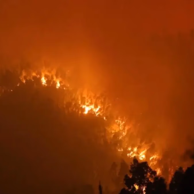 Decretan toque de queda para las comunas de Penco, Nacimiento y Laja por incendios forestales
