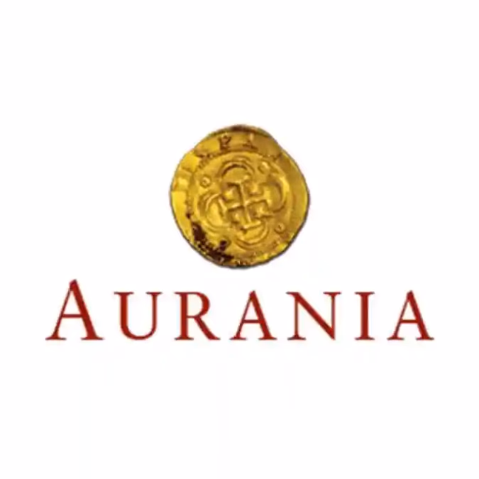 Ecuador: Nuevos datos de inversión revelan seis anomalías en el objetivo Awacha de Aurania