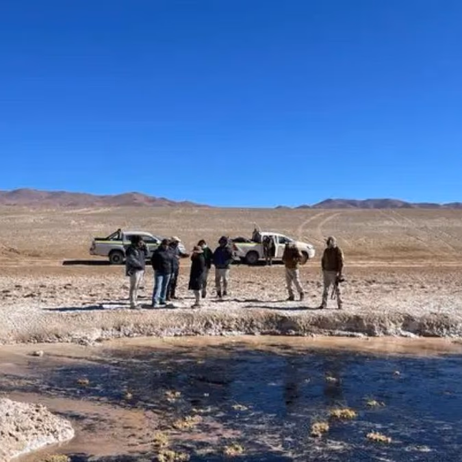 El CDE demanda a minera Quiborax por daño ambiental en Salar de Surire