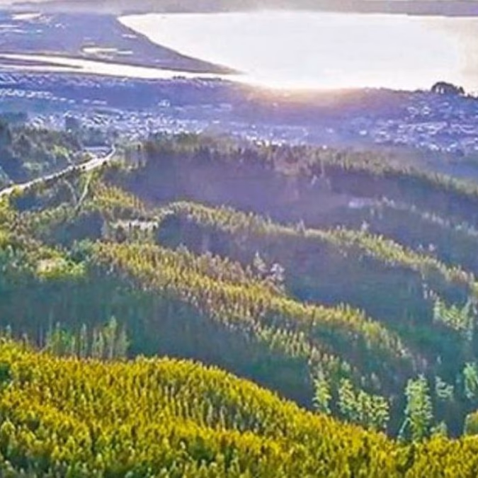 El interés de Rolls Royce en proyecto de Tierras Raras en Penco: “Es importante para el mundo”
