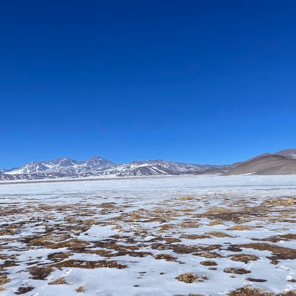 El lobby de Tsingshan, el gigante chino que busca instalar el primer parque industrial del litio en Chile