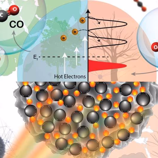 El oro negro cargado de níquel convierte el CO2 en productos químicos utilizando energía solar e hidrógeno verde