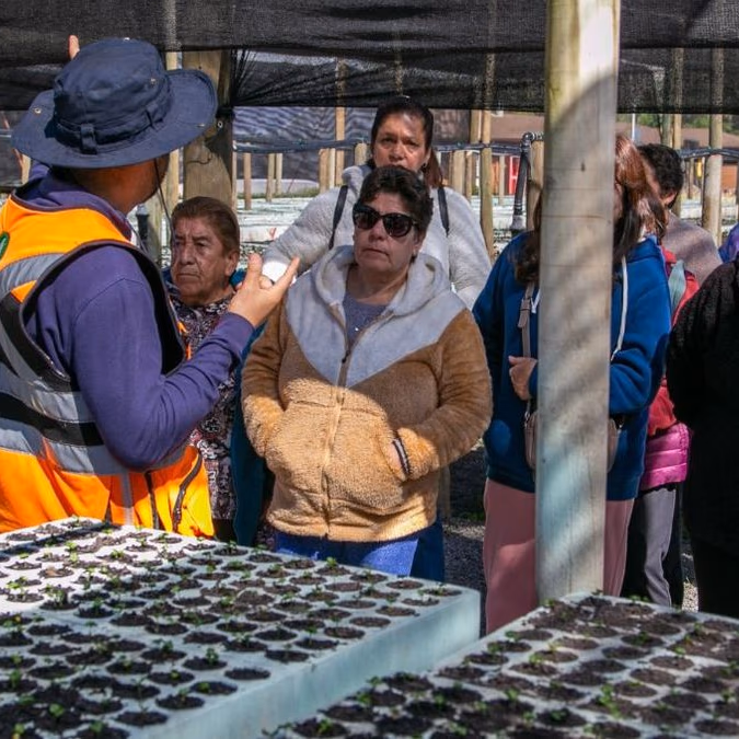 El Teniente y Junta de Vigilancia del Río Cachapoal impulsan educación ambiental en Vivero de Hacienda Cauquenes