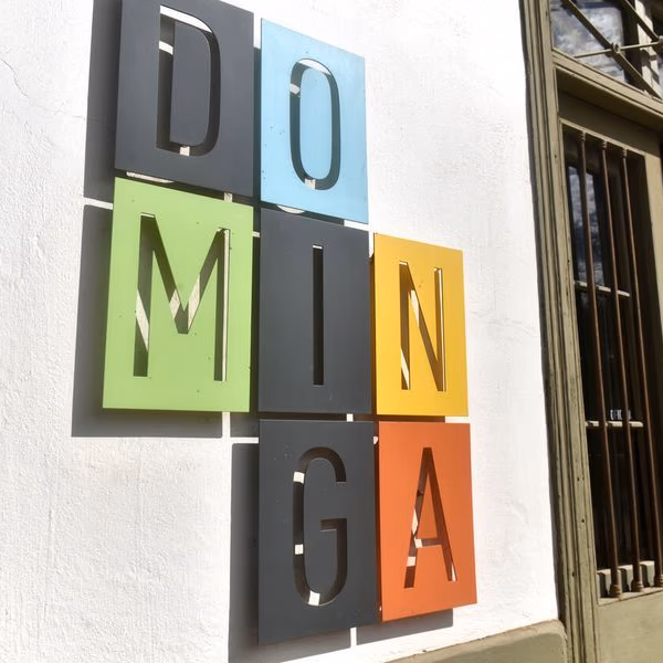 El último revés de Oceana y un grupo de senadores en su batalla contra Dominga