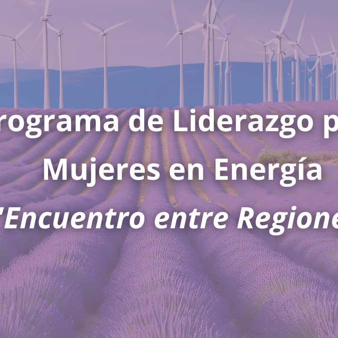 Finaliza exitoso programa piloto de mujeres líderes en la transición energética