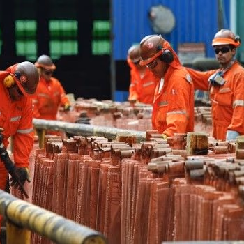 FTC: «Codelco se ha transformado en una vaca lechera»