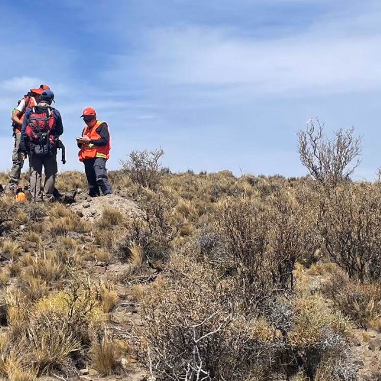 Geoquímica del suelo resalta anomalías del cobre en Polimet