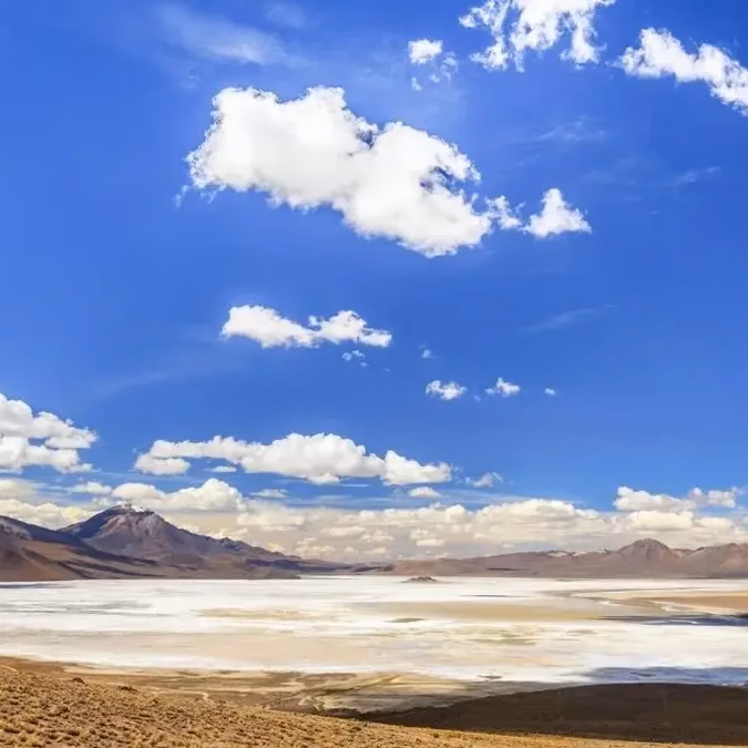Gobierno impulsa ampliación de protección en el Salar de Atacama y asegura resguardo a operaciones de litio