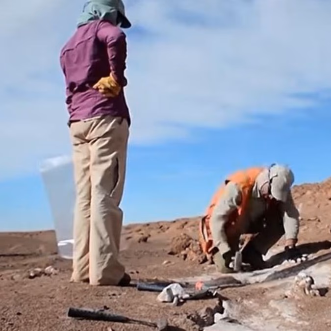 Goldstrike / Copper-X Mining anuncia pruebas metalúrgicas en el proyecto Jupiter Copper, Antofagasta, Chile