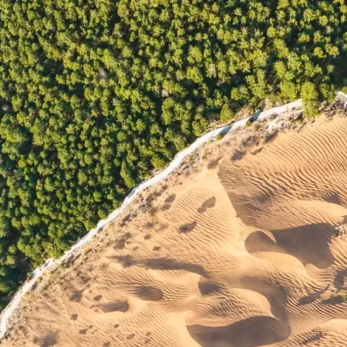 Gran Muralla Verde de China: el proyecto de 35 millones de hectáreas para frenar el desierto, pero redujo el agua disponible