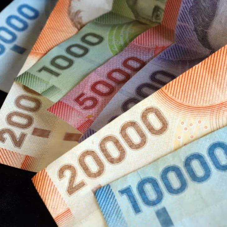 Guía Completa: Accede a Ayudas Económicas para Desempleados en Chile con la AFC y Otros Servicios