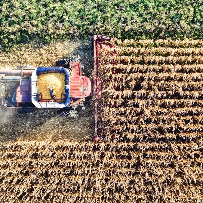 IA generativa entra al campo: 17% de los agricultores ya la usa en sus operaciones