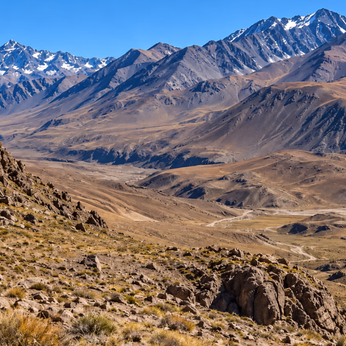 Dos proyectos con aval ambiental pierden permisos sobre 5.920 hectáreas en Mendoza