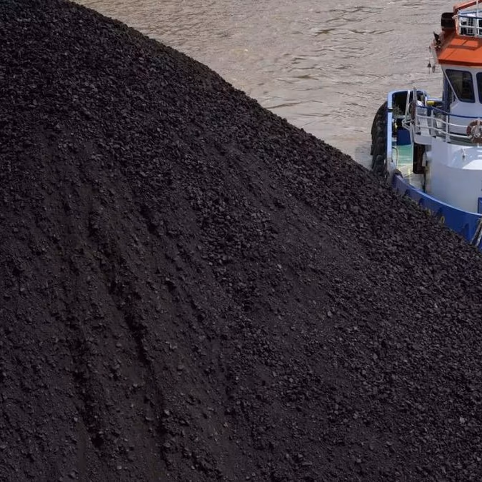 Importaciones de carbón de China en 2023: Resurgen tras la prohibición, pero se quedan cortas