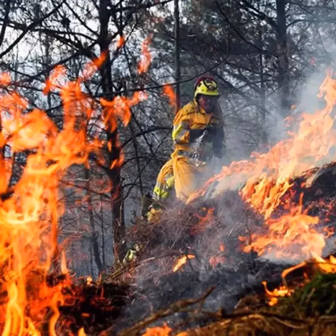Incendios de gran magnitud golpean a Ñuble y Biobío y superan las 20 mil hectáreas afectadas