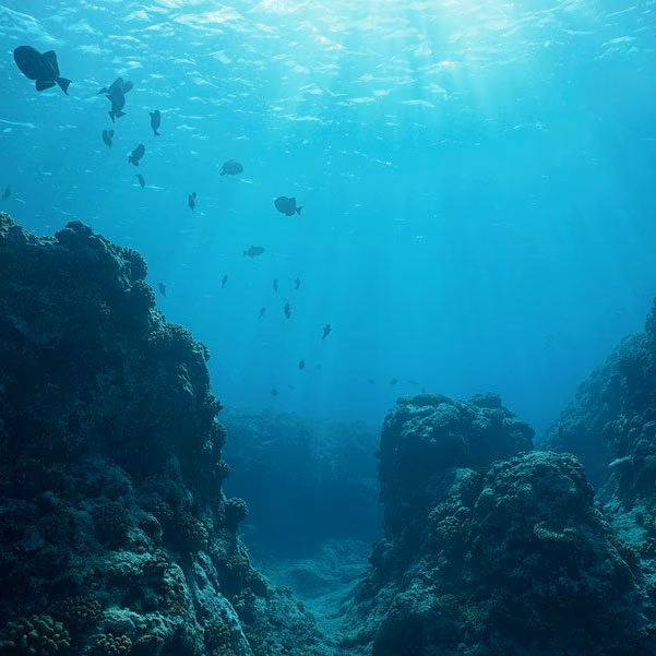 Japón busca a 6.000 metros bajo el mar en busca de tierras raras para contrarrestar a China