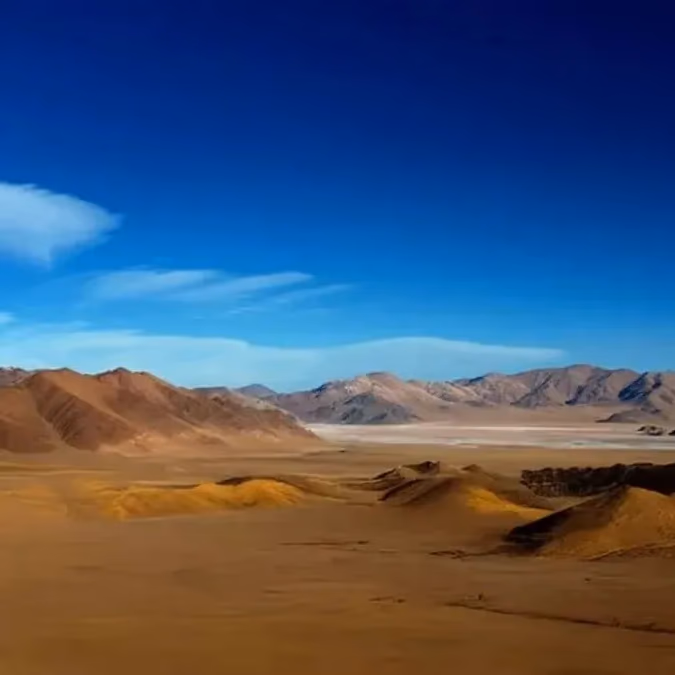 Joint venture impulsa Proyecto Rincón en Salta con inversión inicial de US$4 millones
