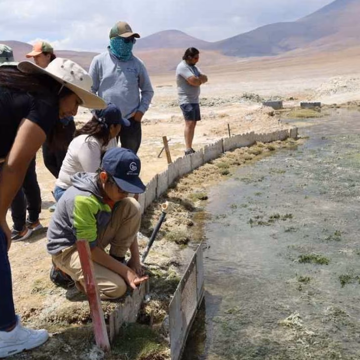 Minera El Abra avanza en Plan de Manejo Ambiental del Salar de Ascotán