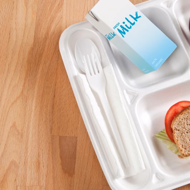 Nuevo menú Junaeb: revisa cómo serán los desayunos y almuerzos basados en plantas