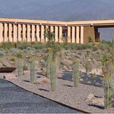Primer jardín botánico de especies nativas de la región Metropolitana logró reducir en un 20% su consumo de agua