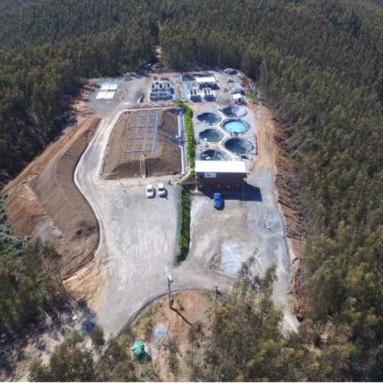 Proceso de Evaluación de Impacto Ambiental de Tierras Raras de Penco se extiende por dos años