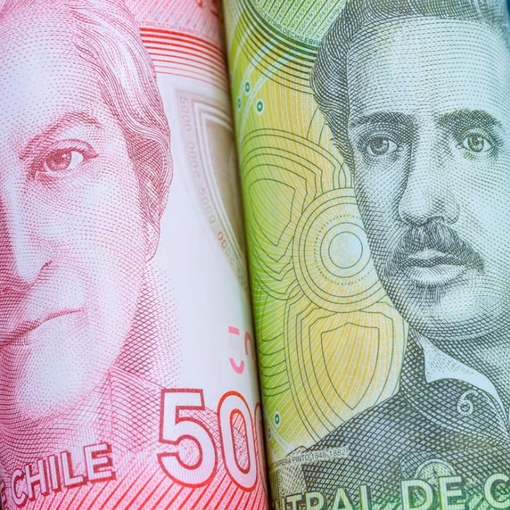 Propuesta de autopréstamo AFP previsional para aliviar la economía de familias chilenas
