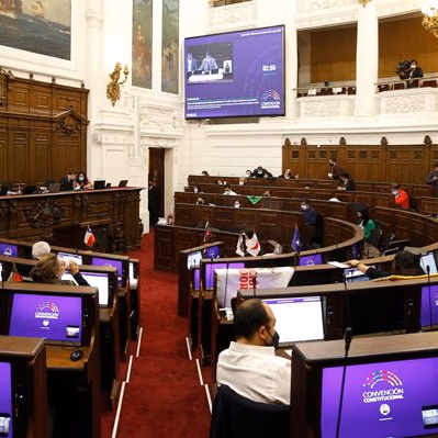 Rechazo a nacionalización de minería: Las modificaciones de la comisión de Medio Ambiente de la CC a su último informe