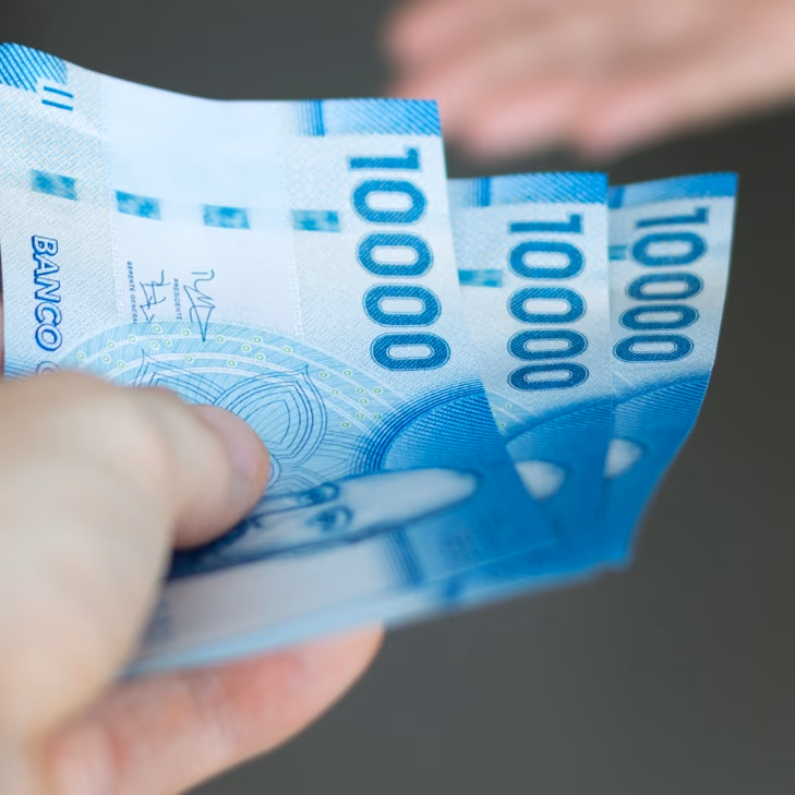 Revisa con tu RUT Subsidio Familiar Automático: Fecha de pago y montos