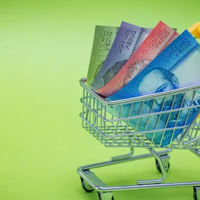 Revisa si eres beneficiario del Aporte Familiar Permanente 2026: pasos y requisitos