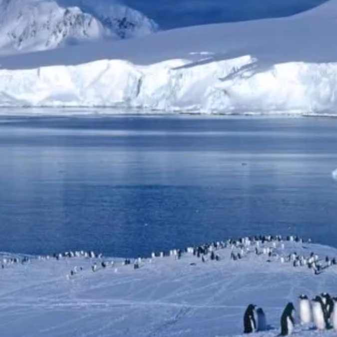 Rusia descubre reservas de petróleo en la Antártica: Argentina exige respuestas
