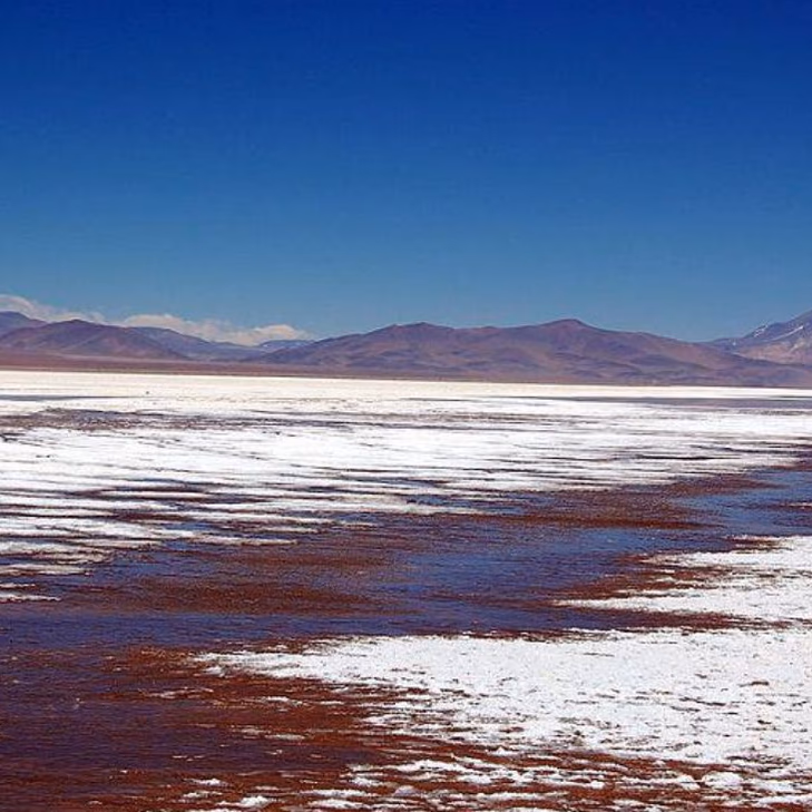 Simco y comunidad colla Pai Ote lanzan proyecto de litio sostenible en Maricunga con tecnología DLP y una inversión de US$600 millones